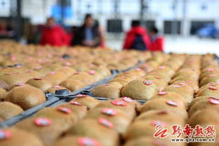 贵州龙里崛起农副产品集散中心 配套一流畅通黔货出山